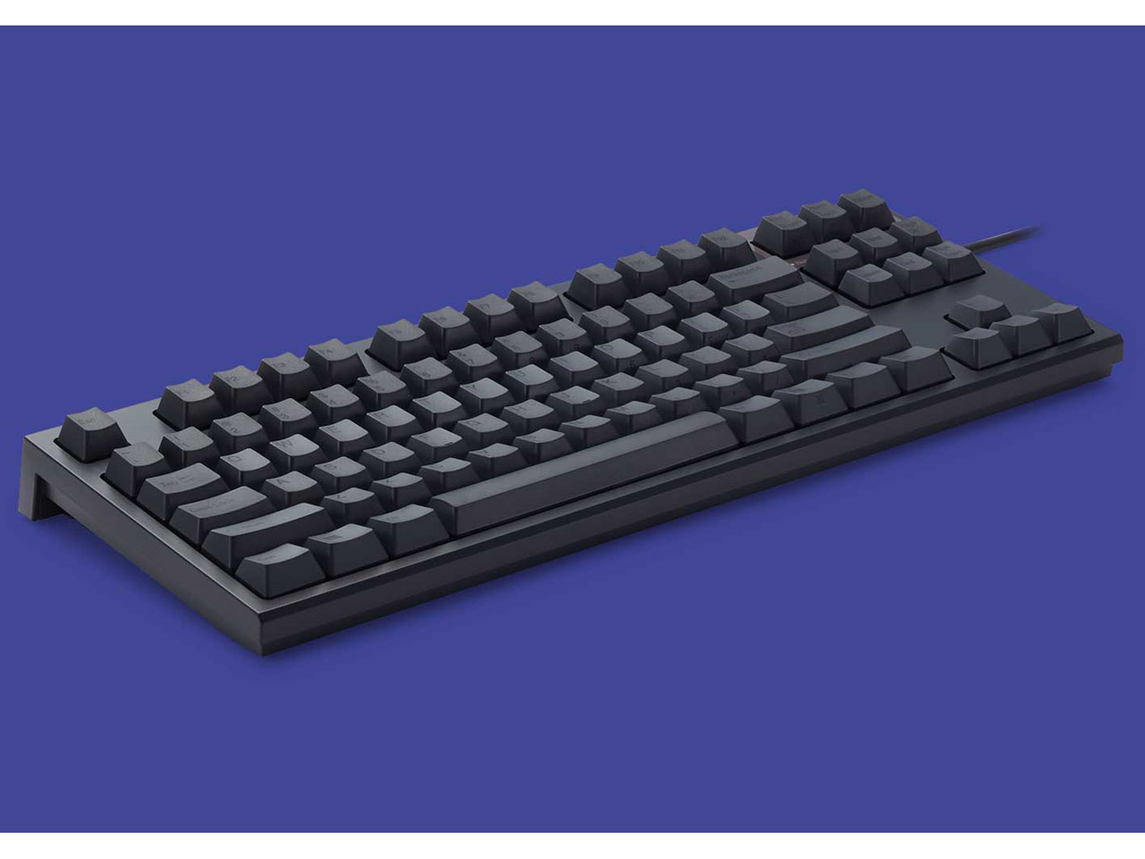 REALFORCE TKL R2TLS-USV-BK [�u���b�N]