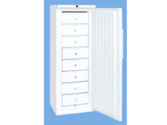 SS-300 �̐��i�摜