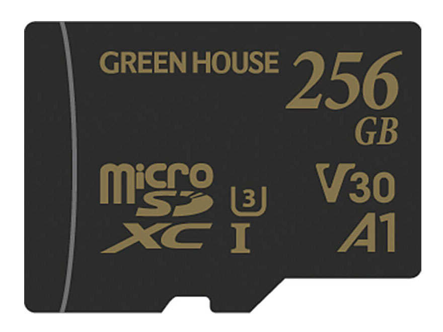 GH-SDM-ZA256G [256GB]