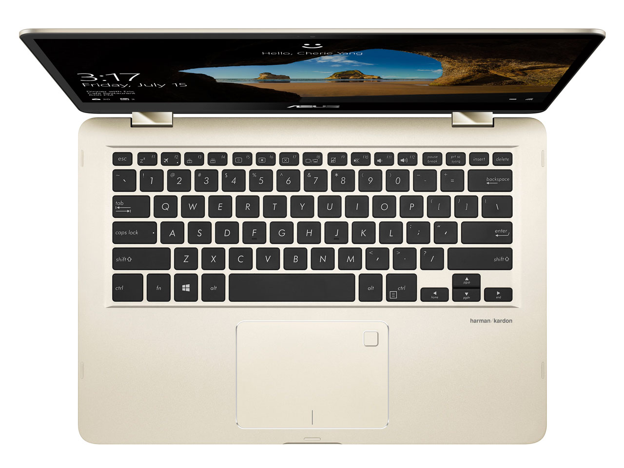 ZenBook Flip 14 UX461UN UX461UN-8250