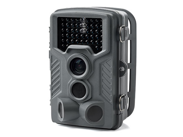 400-CAM067 [�O���[] �̐��i�摜