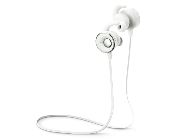 Premium Style PG-BTE2S02 [�z���C�g] �̐��i�摜