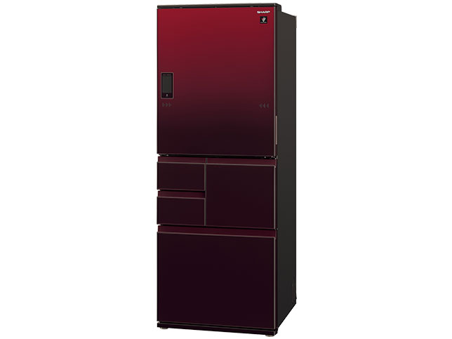 SJ-WX55E-R [�O���f�[�V�������b�h]