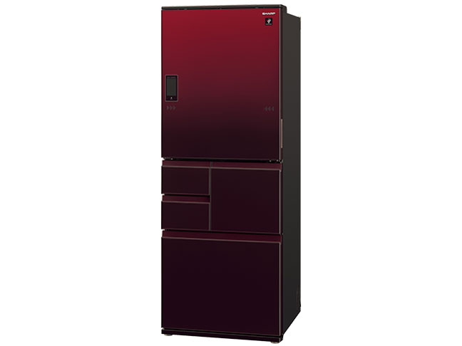 SJ-WX50E-R [�O���f�[�V�������b�h]