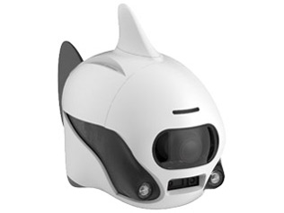 BIKI_W [�z���C�g]