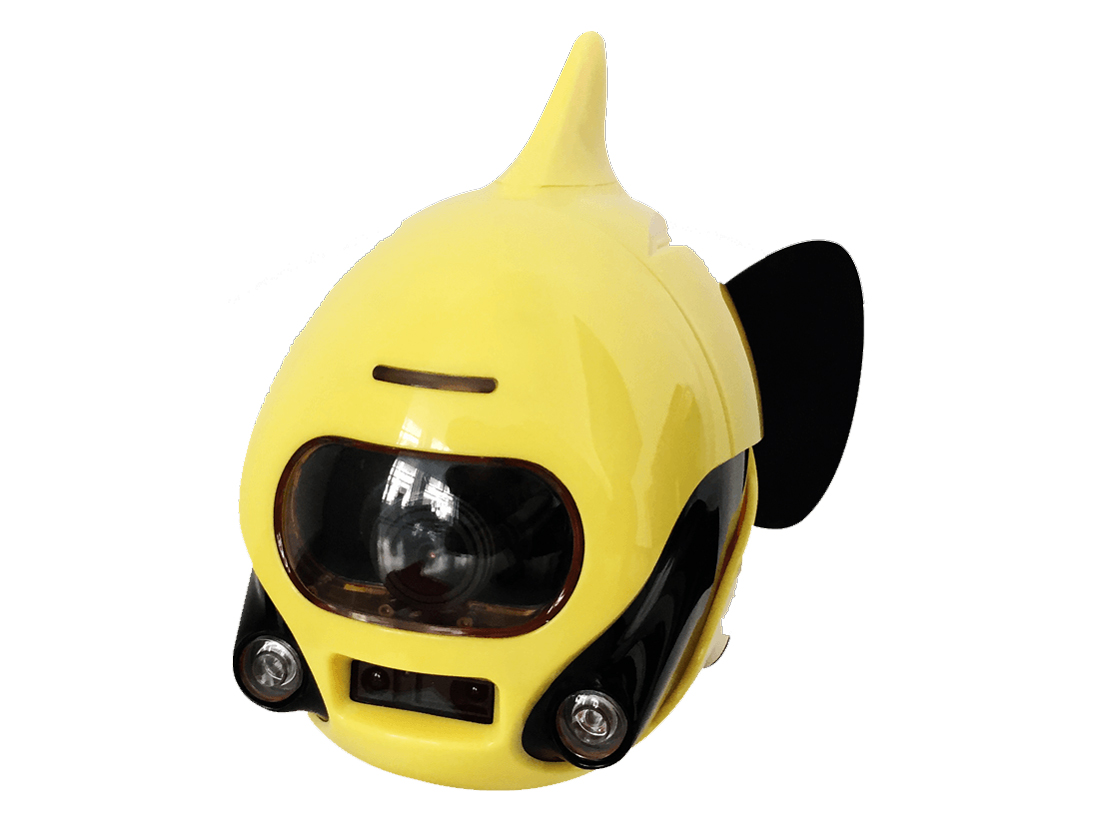 BIKI_Y [�C�G���[] �̐��i�摜