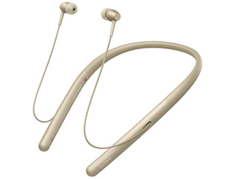 NW-A55WI (N) [16GB �y�[���S�[���h]