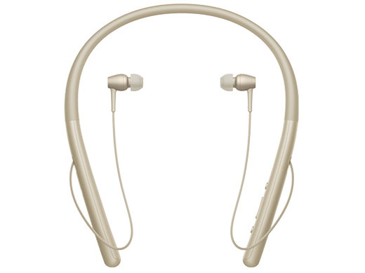 NW-A55WI (N) [16GB �y�[���S�[���h]