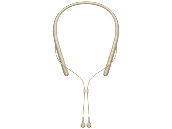 NW-A55WI (N) [16GB �y�[���S�[���h]