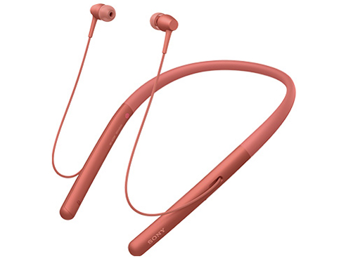 NW-A55WI (R) [16GB �g���C���C�g���b�h]