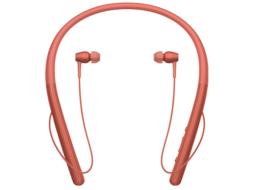 NW-A55WI (R) [16GB �g���C���C�g���b�h]