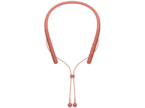 NW-A55WI (R) [16GB �g���C���C�g���b�h]