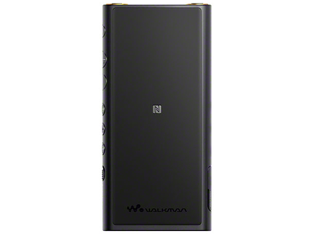 NW-ZX300G (B) [128GB]