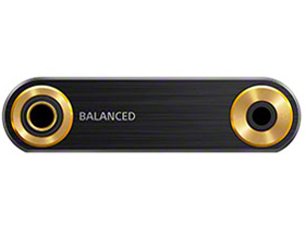 NW-ZX300G (B) [128GB]