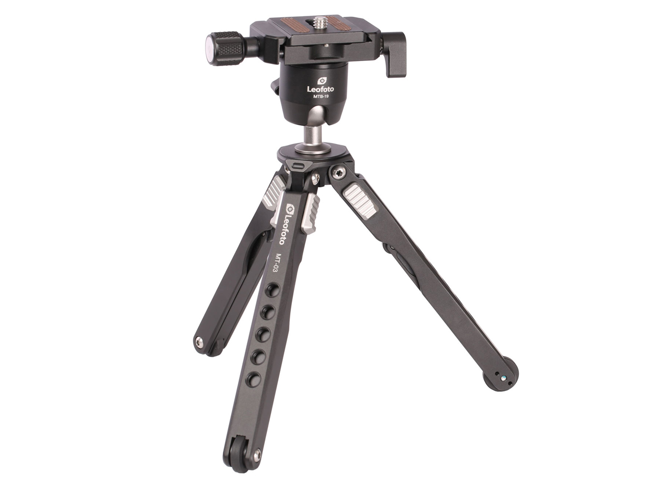 MT-03+MTB-19 �̐��i�摜