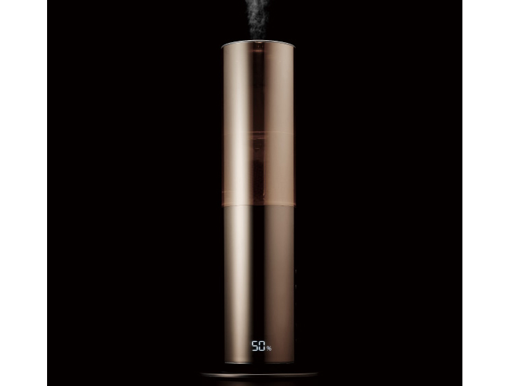 d-design DHBK-218CL-CGD [�V�����p���S�[���h]