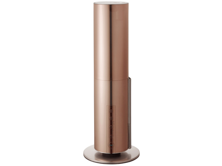d-design DHBK-218CL-CGD [�V�����p���S�[���h]