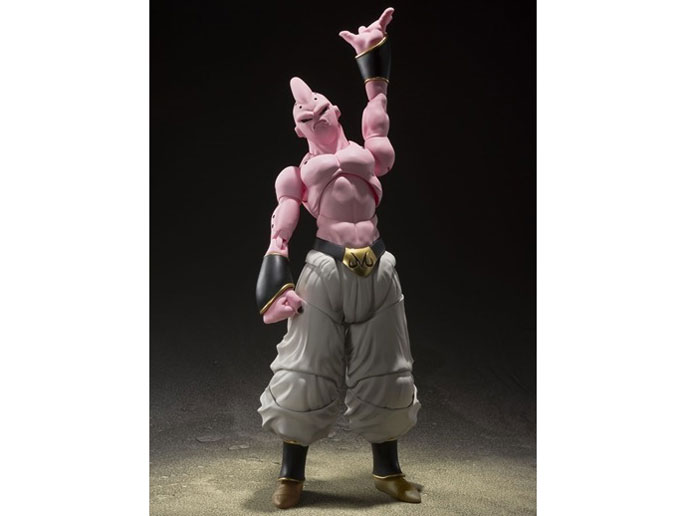 S.H.Figuarts ���l�u�E-��-