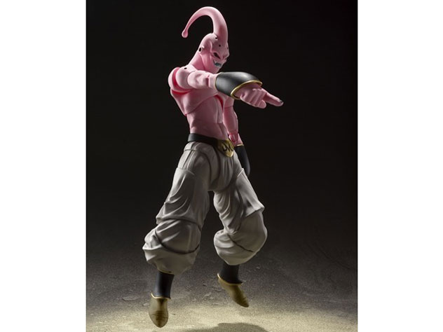 S.H.Figuarts ���l�u�E-��-
