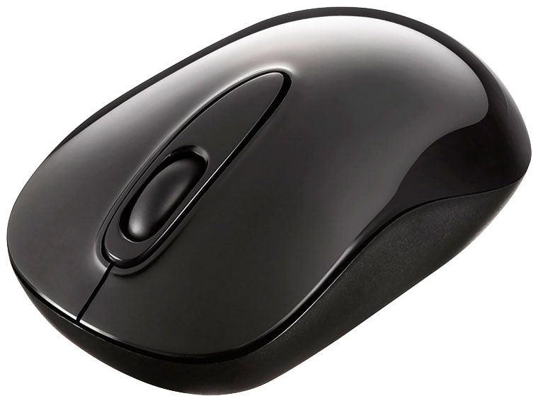 BSKBW110SBK [�u���b�N]