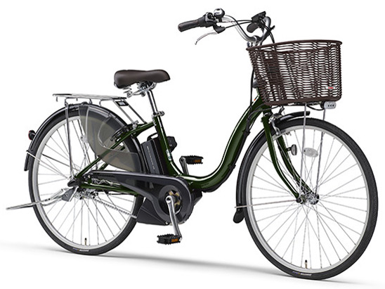 PAS �i�`����M PA26NM 2019�N���f�� [�f�B�[�v�O���[��] + ��p�[�d��