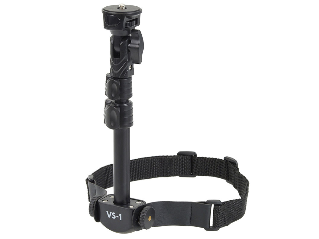 �r�f�T�| VS-1 VE-2174 �̐��i�摜