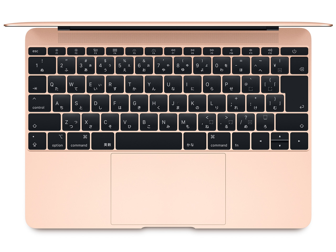 MacBook Retina�f�B�X�v���C 1200/12 MRQN2J/A [�S�[���h]