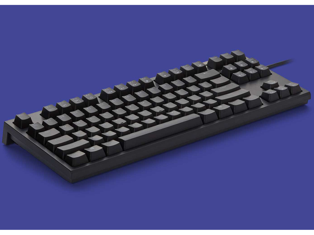 REALFORCE RGB TKL R2TLA-US4G-BK