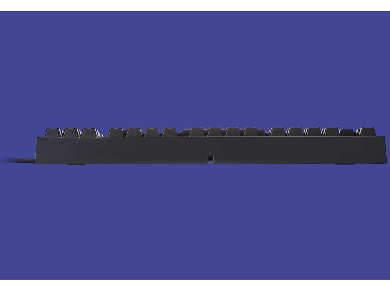 REALFORCE RGB TKL R2TLA-US4G-BK