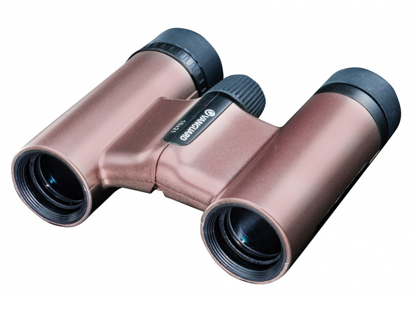 VESTA 1021 Rose [���[�Y] �̐��i�摜