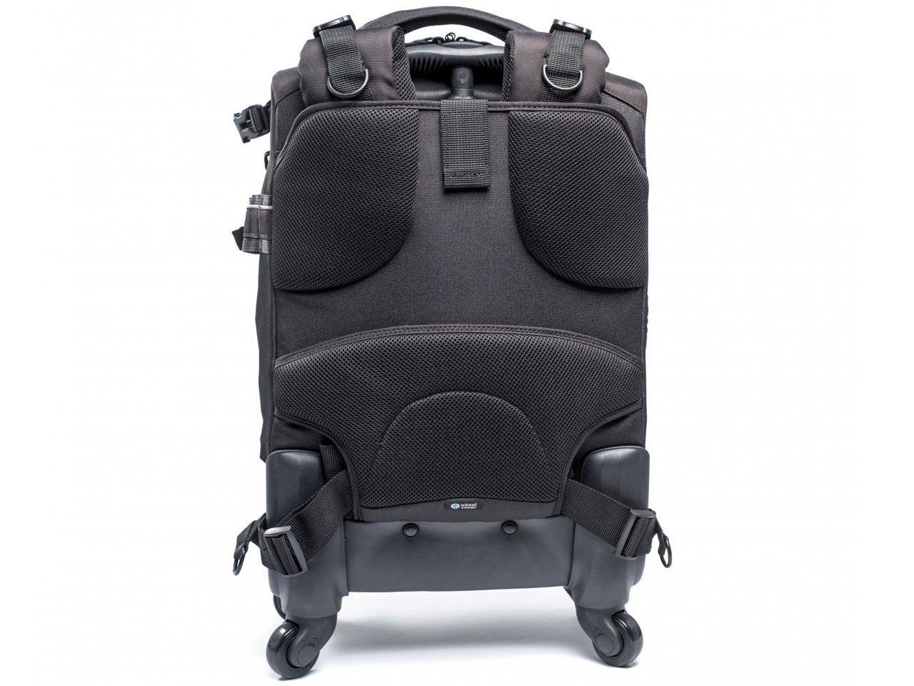 ALTA FLY 55T [�u���b�N]