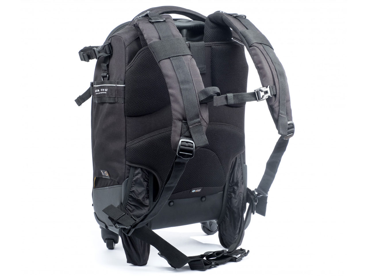 ALTA FLY 55T [�u���b�N]