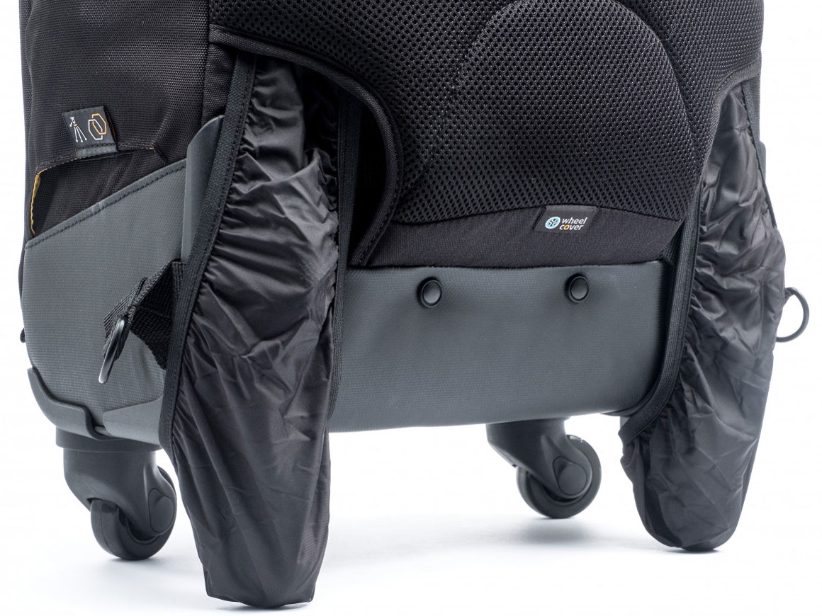 ALTA FLY 55T [�u���b�N]