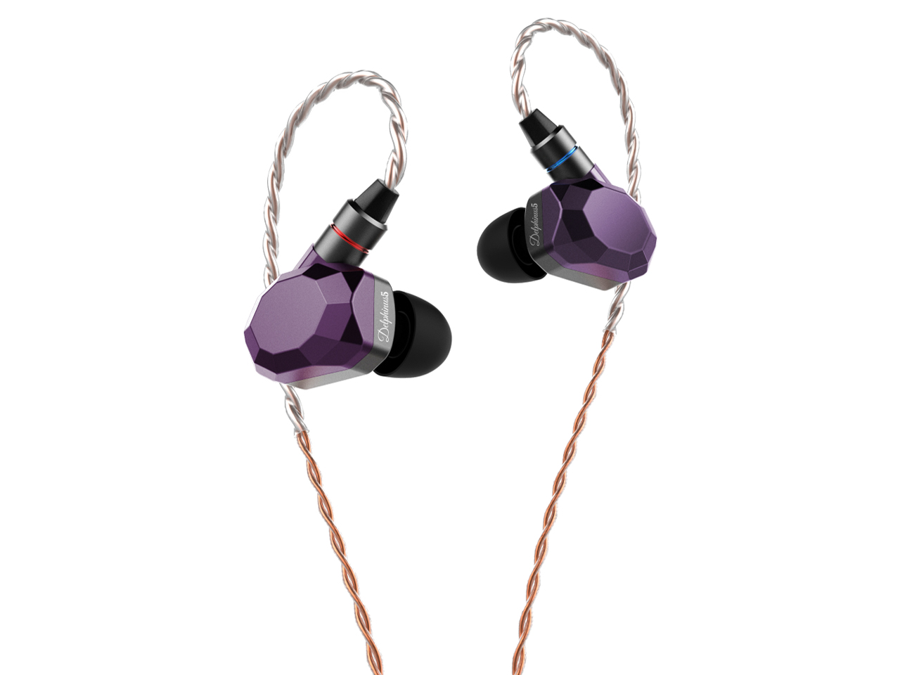 Delphinus5 [�p�[�v��]