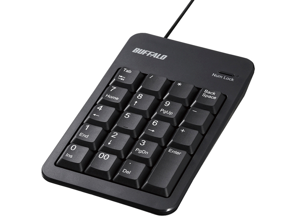 BSTK100BKZ [�u���b�N] �̐��i�摜