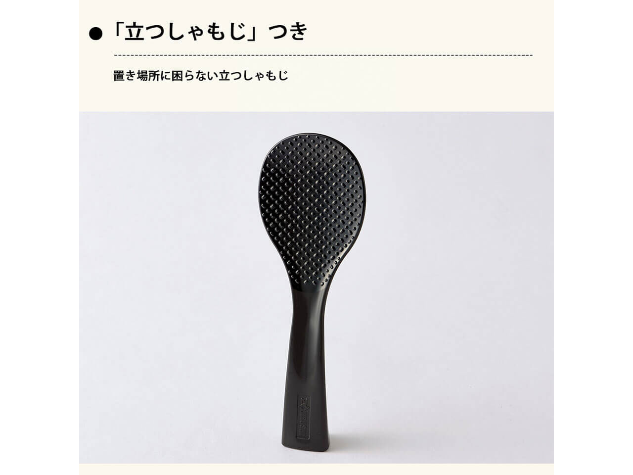 STAN. NW-SA10-BA [�u���b�N]