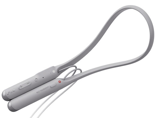 WI-C600N (H) [�O���[]