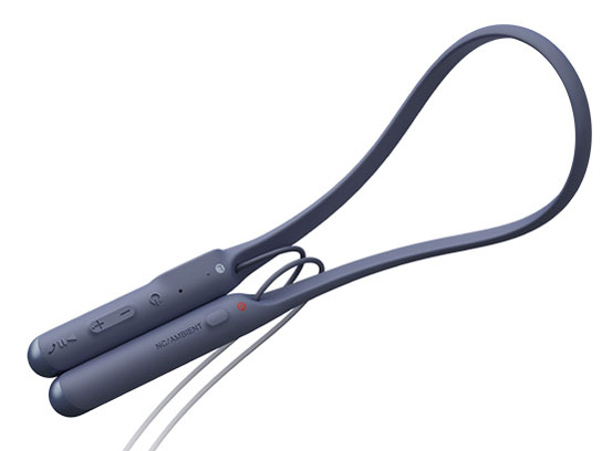 WI-C600N (L) [�u���[]