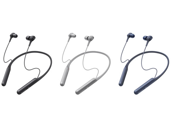 WI-C600N (L) [�u���[]