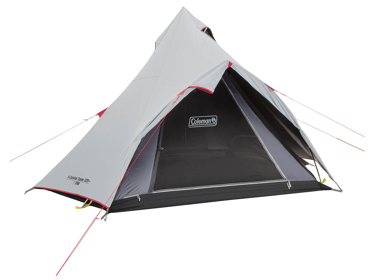 �G�N�X�J�[�V�����e�B�s�[/325 + �X�^�[�g�p�b�P�[�W 2000034600 �̐��i�摜