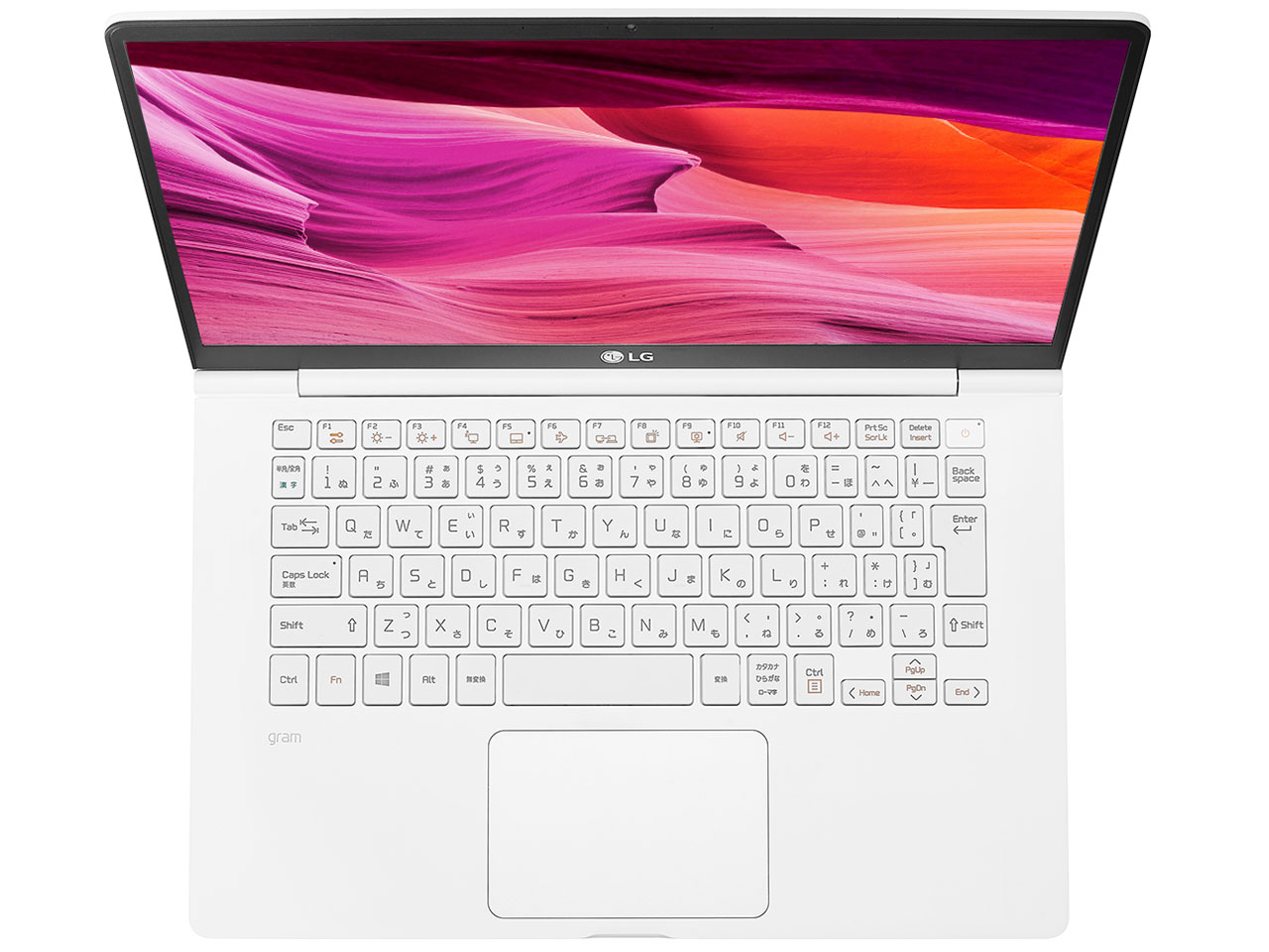 LG gram 14Z990-GA55J [�z���C�g]