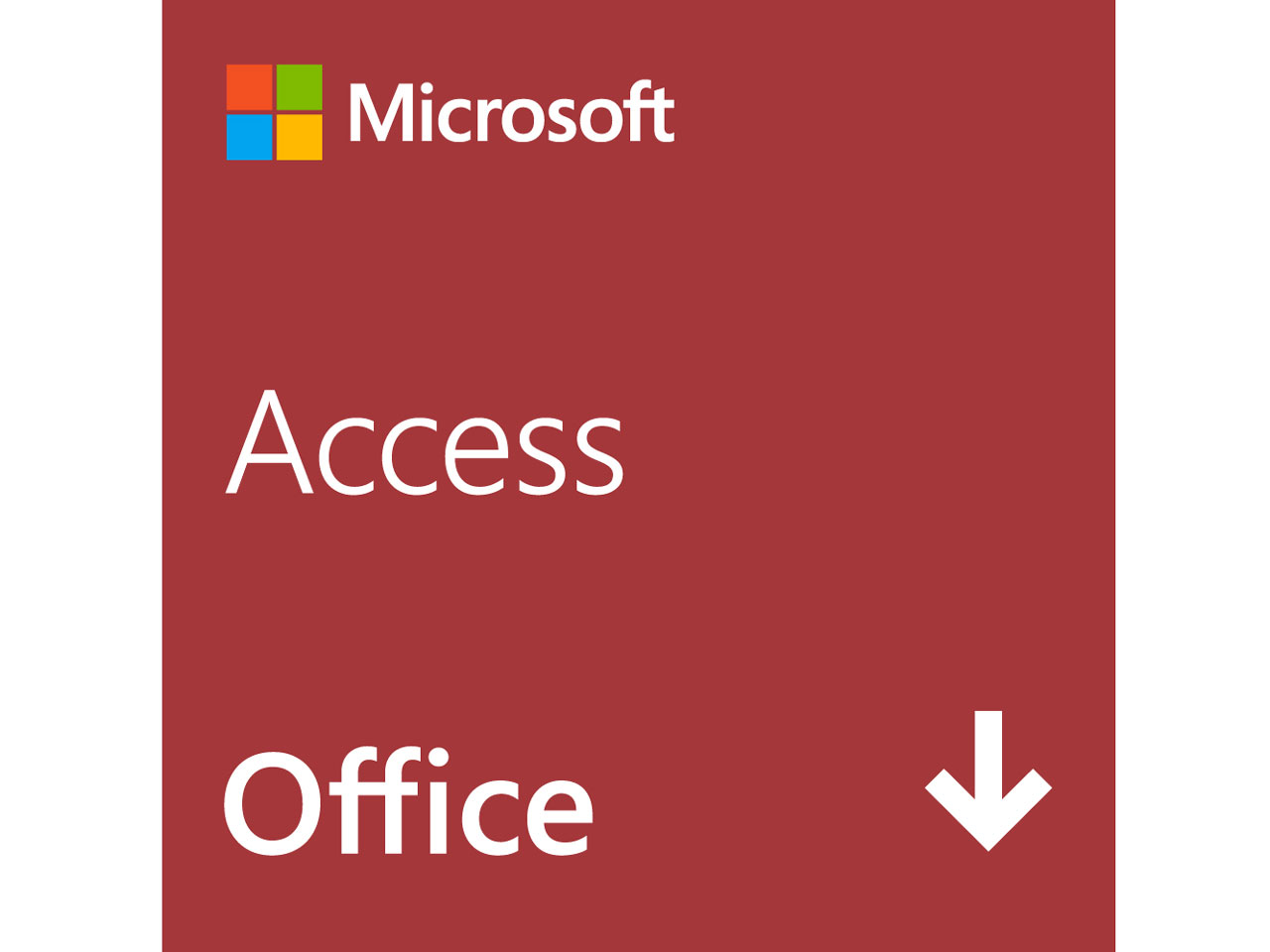 Access 2019 �_�E�����[�h�� �̐��i�摜