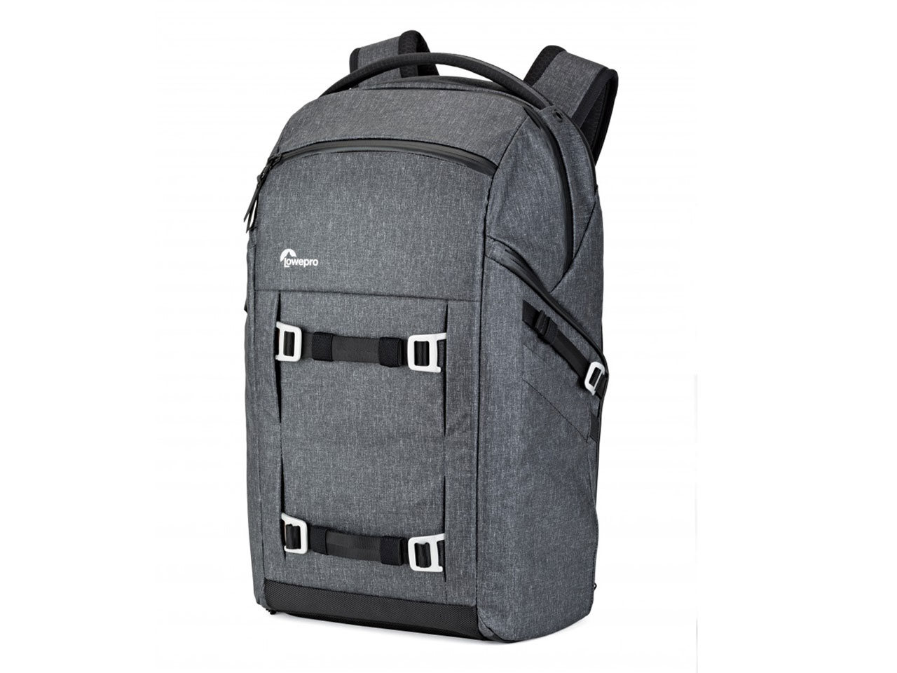 �t���[���C�� LP37229-PWW [�w�U�[�O���[]