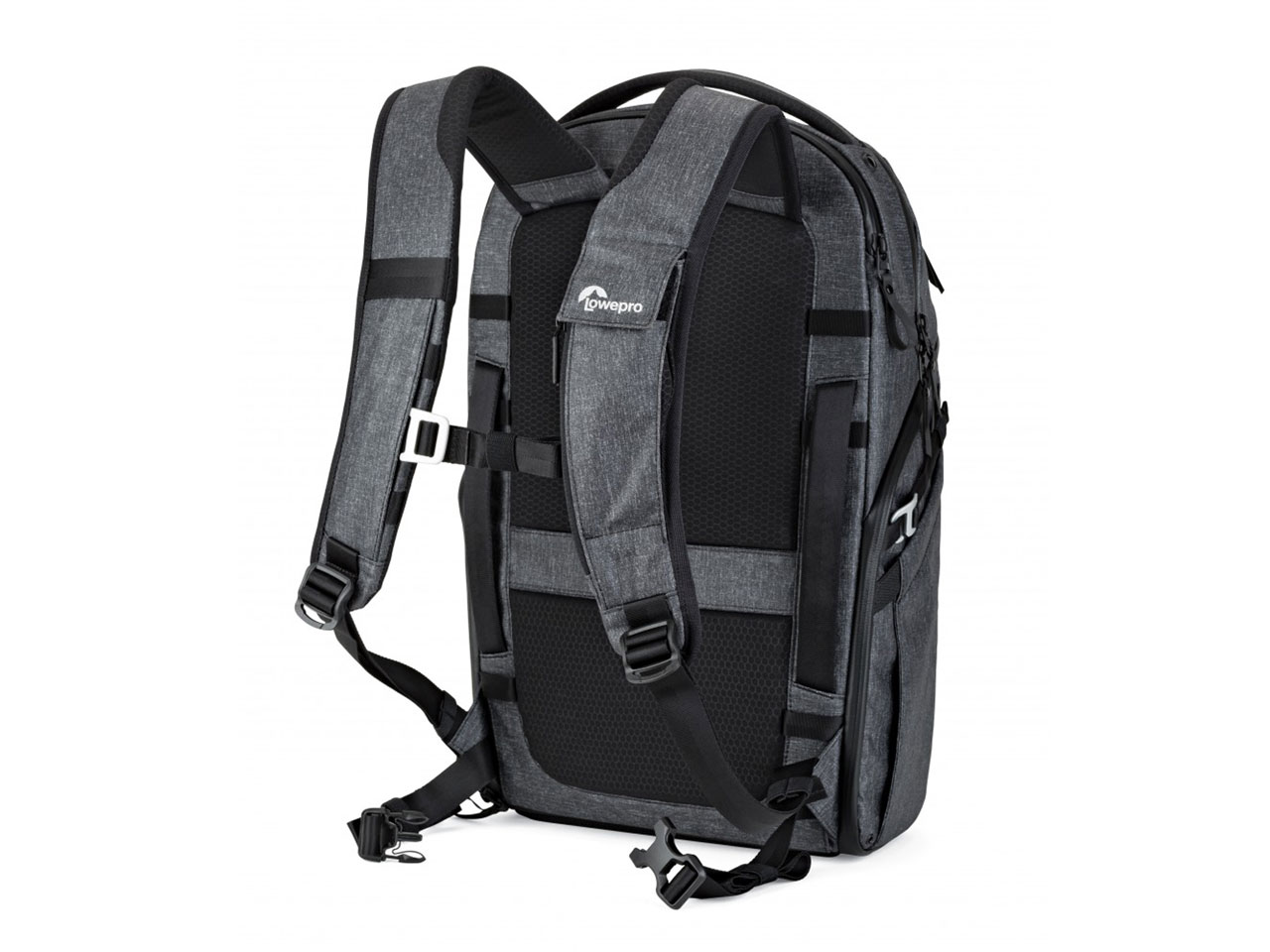 �t���[���C�� LP37229-PWW [�w�U�[�O���[]