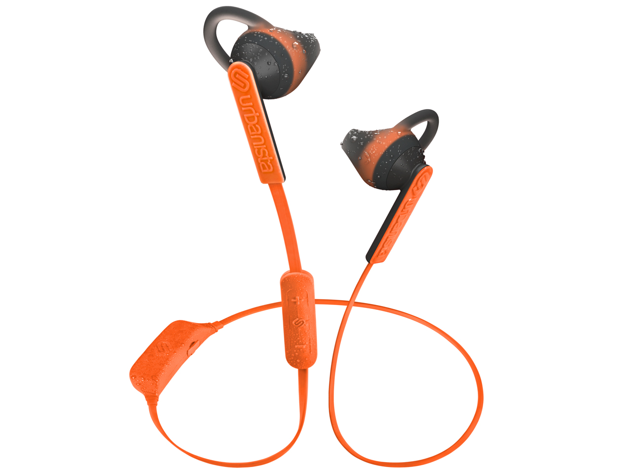 BOSTON [Orange] �̐��i�摜