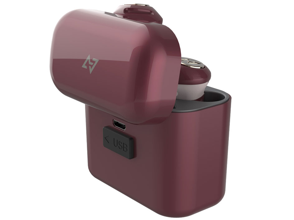 AVIOT TE-D01d-DR [Dark Rouge]