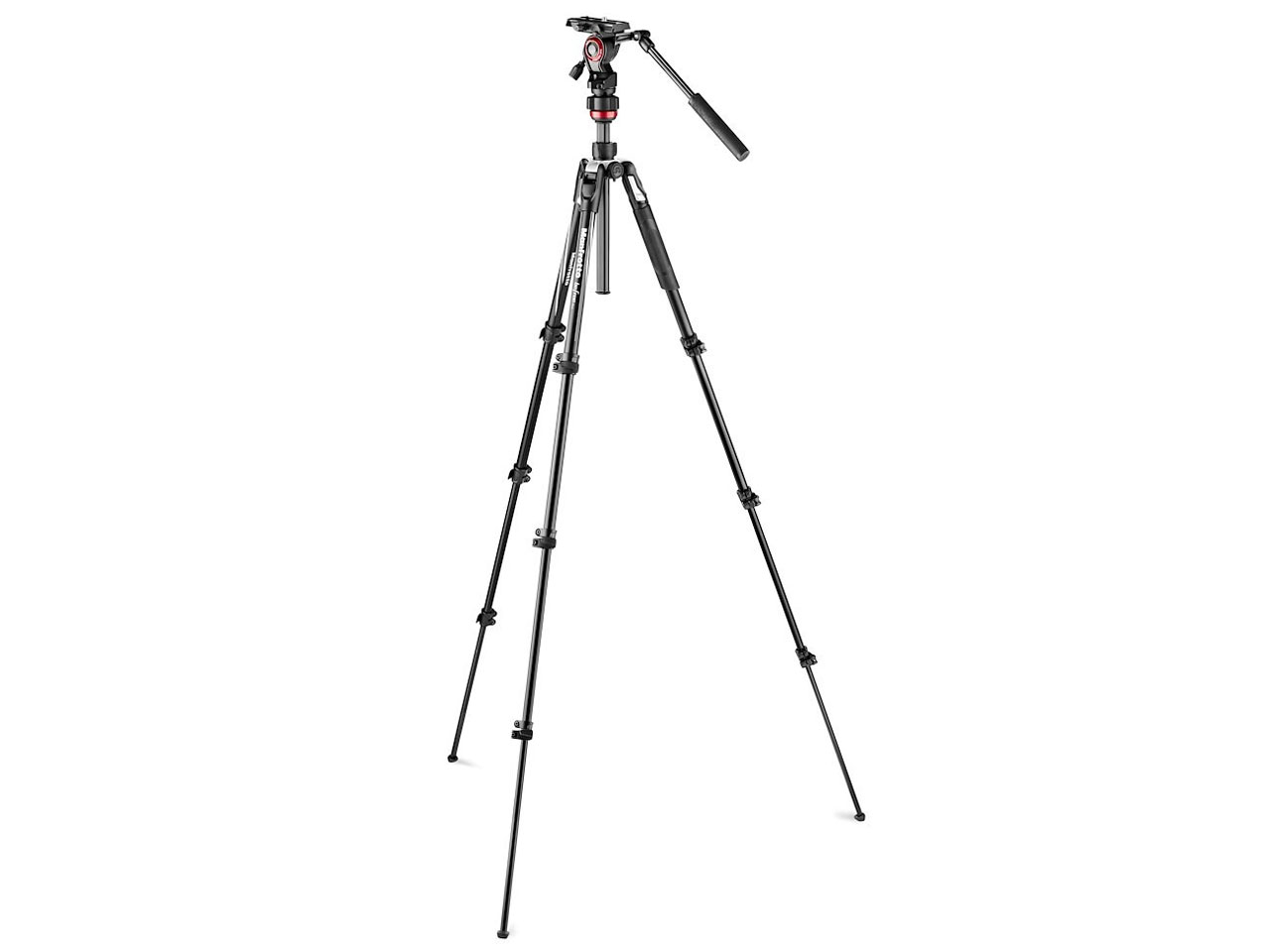 befree live �A���~�j�E�� L �O�r�r�f�I�_��L�b�g MVKBFRL-LIVE