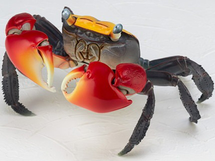 ���{�W�I �A�J�e�K�j �̐��i�摜