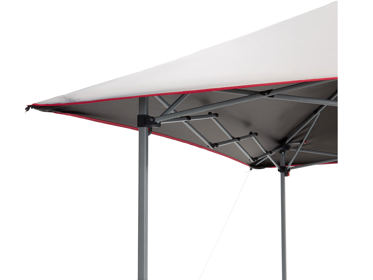 �C���X�^���g�o�C�U�[�V�F�[�h/M+ 2000034601