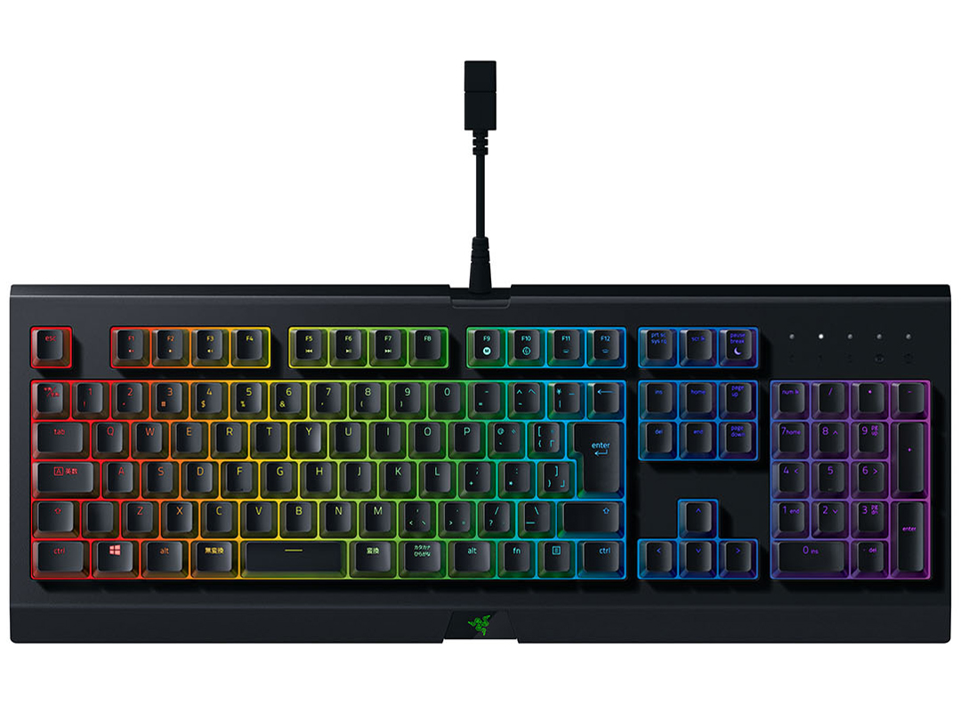 Cynosa Chroma JP RZ03-02262300-R3J1 [�u���b�N] �̐��i�摜